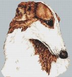 (image for) Borzoi